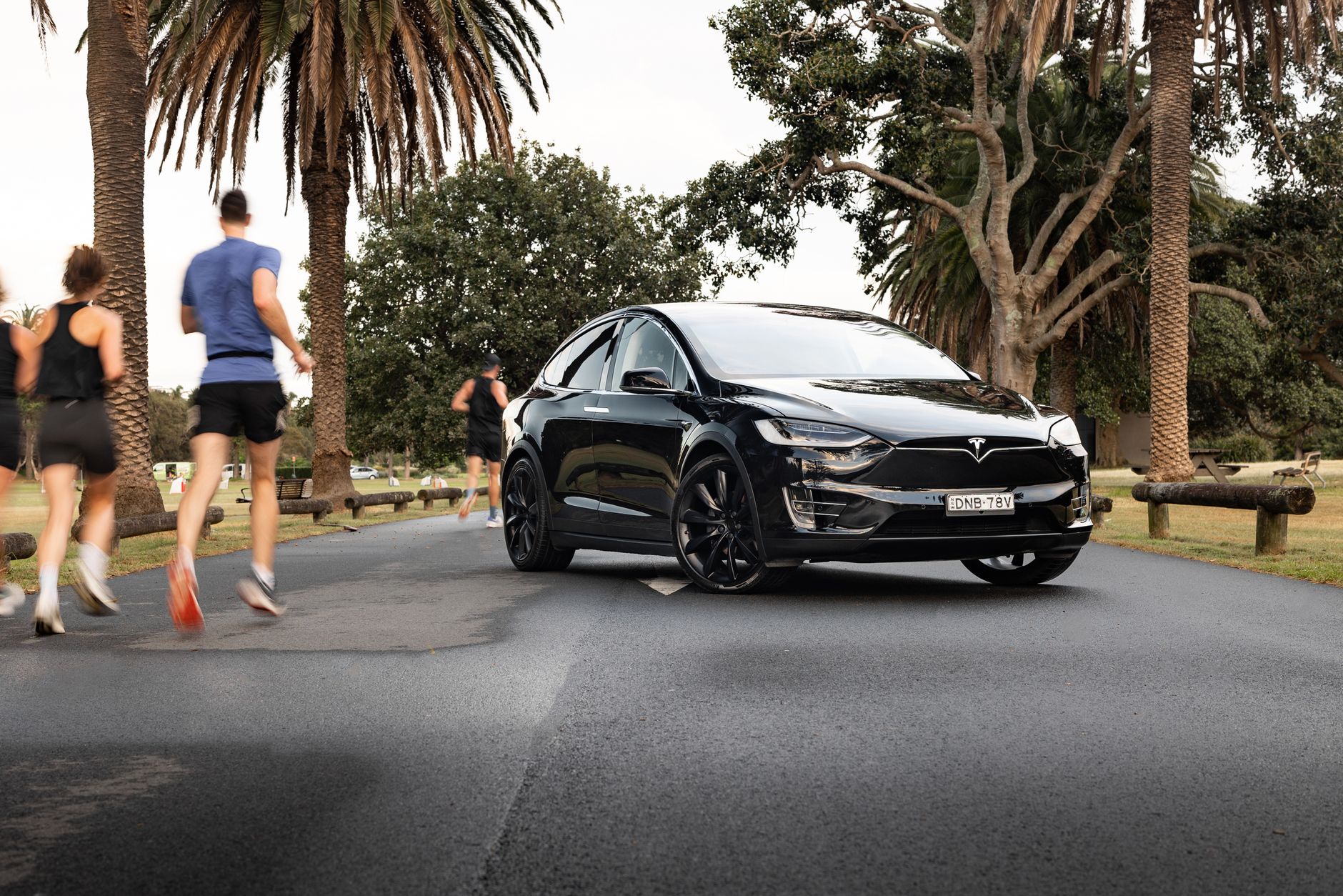 Biała Tesla Model X zaparkowana przy palmowej alei w Sydney